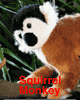 monkey